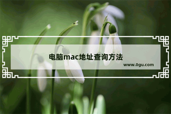 电脑mac地址查询方法