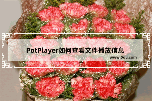 PotPlayer如何查看文件播放信息 PotPlayer查看文件播放信息的方法