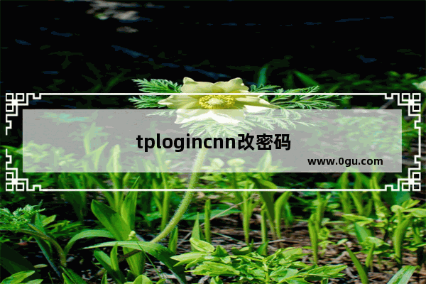 tplogincnn改密码