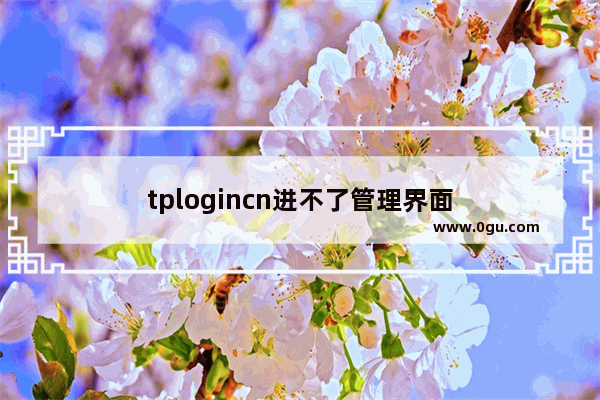 tplogincn进不了管理界面