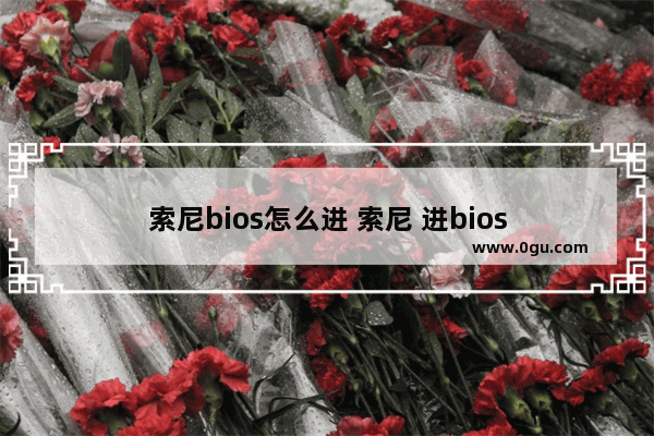 索尼bios怎么进 索尼 进bios