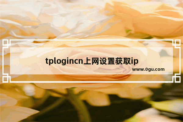 tplogincn上网设置获取ip