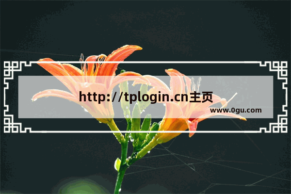 http://tplogin.cn主页