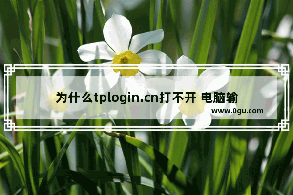 为什么tplogin.cn打不开 电脑输入tplogin打不开