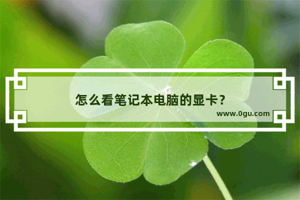 怎么看笔记本电脑的显卡？