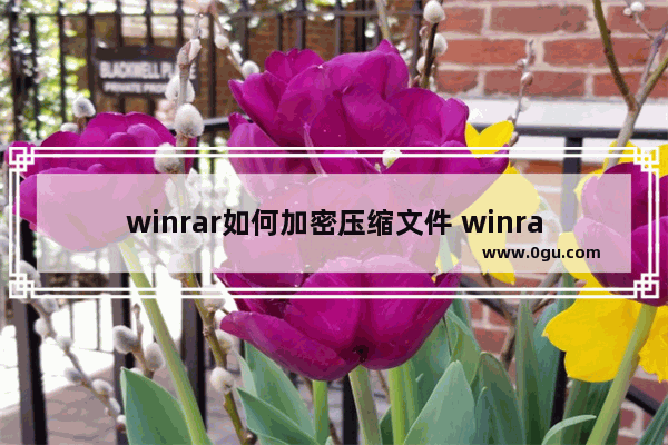 winrar如何加密压缩文件 winrar加密压缩文件的方法