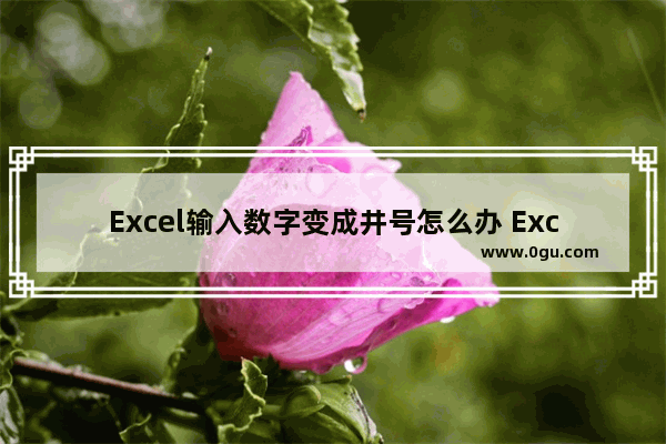 Excel输入数字变成井号怎么办 Excel输入数字变成井号的解决方法