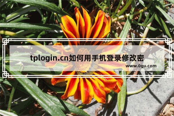 tplogin.cn如何用手机登录修改密码？