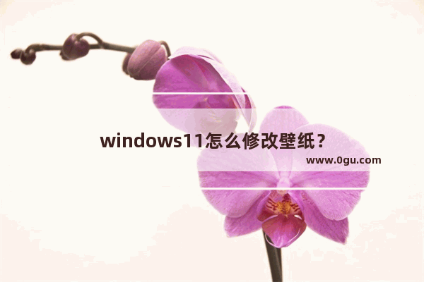 windows11怎么修改壁纸？