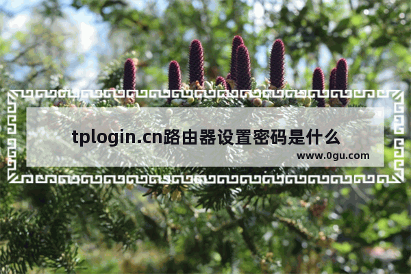 tplogin.cn路由器设置密码是什么？