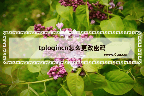 tplogincn怎么更改密码