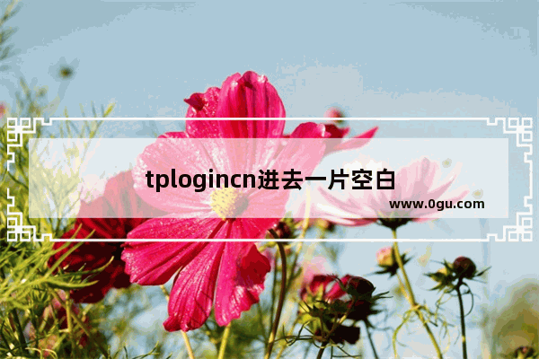 tplogincn进去一片空白