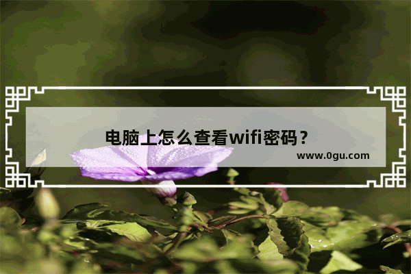 电脑上怎么查看wifi密码？