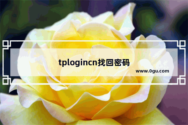 tplogincn找回密码