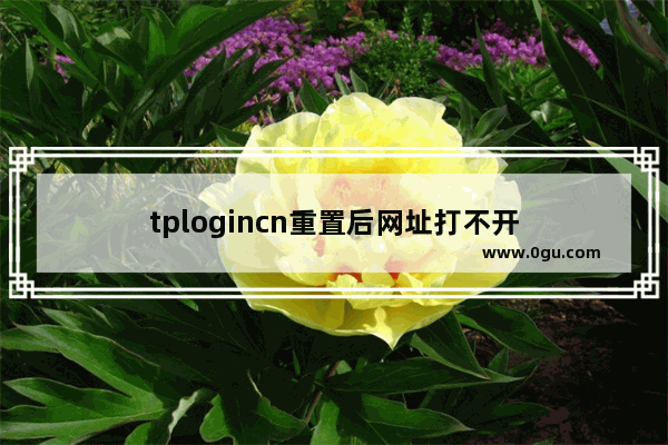 tplogincn重置后网址打不开