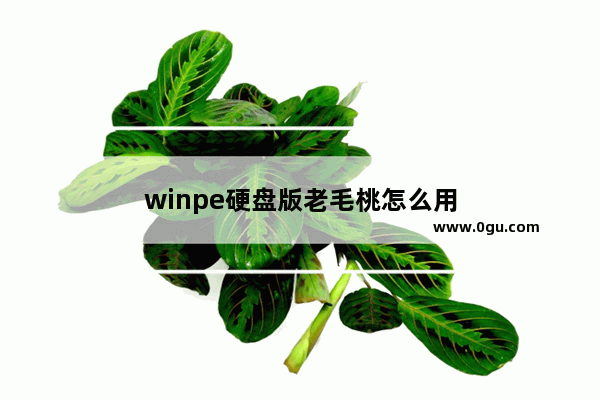 winpe硬盘版老毛桃怎么用