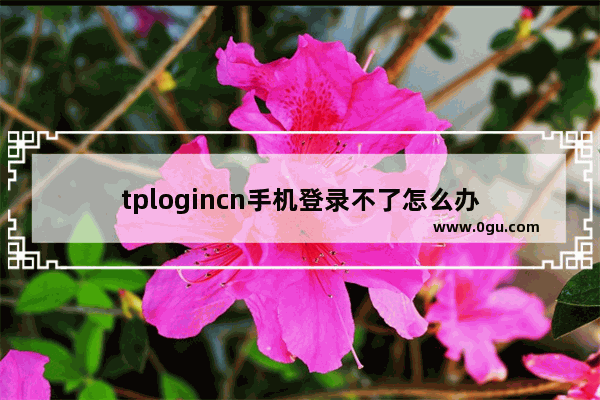 tplogincn手机登录不了怎么办