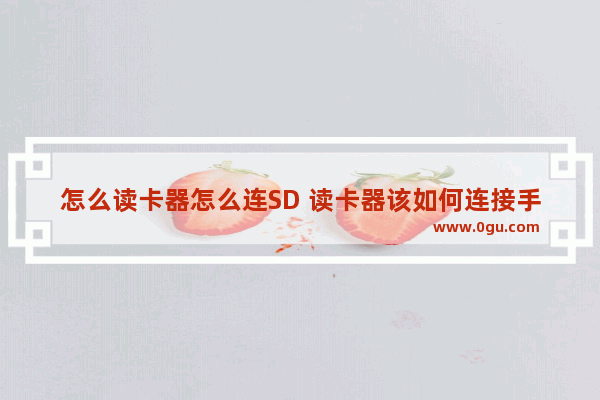 怎么读卡器怎么连SD 读卡器该如何连接手机