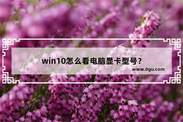 win10怎么看电脑显卡型号？