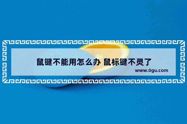 鼠键不能用怎么办 鼠标键不灵了