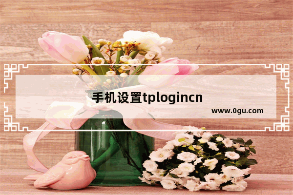 手机设置tplogincn