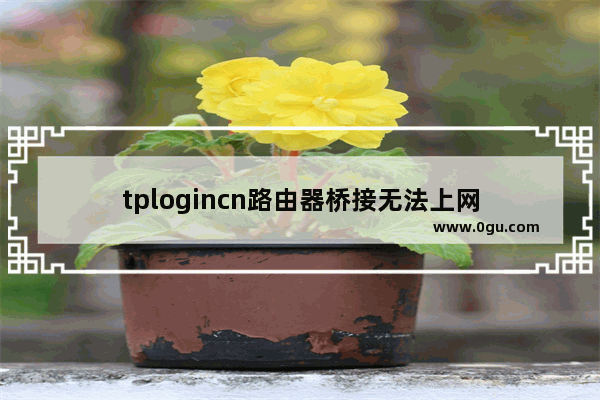 tplogincn路由器桥接无法上网