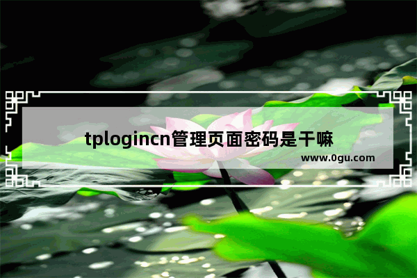 tplogincn管理页面密码是干嘛