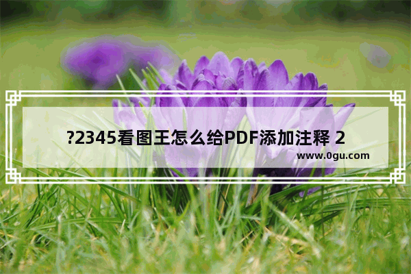 ?2345看图王怎么给PDF添加注释 2345看图王在PDF文件中添加注释信息的方法教程