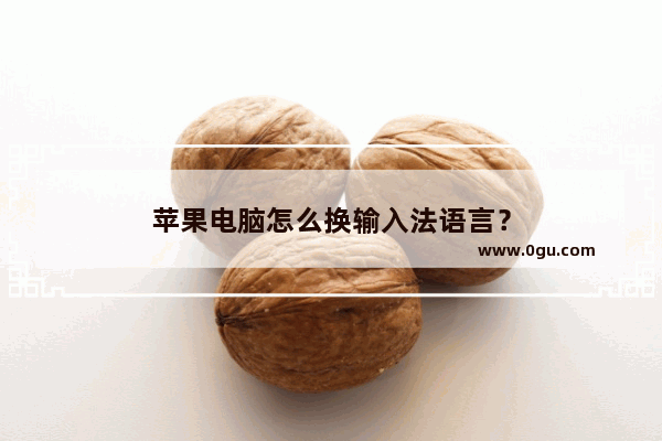 苹果电脑怎么换输入法语言？