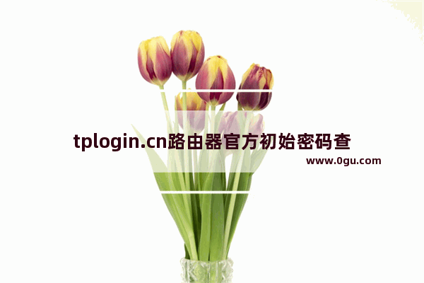 tplogin.cn路由器官方初始密码查看