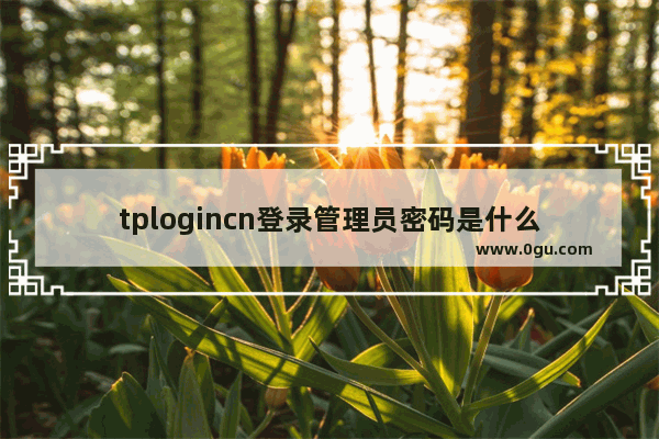 tplogincn登录管理员密码是什么