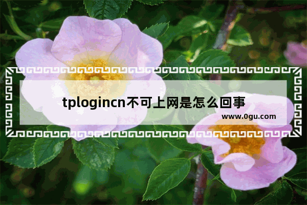 tplogincn不可上网是怎么回事