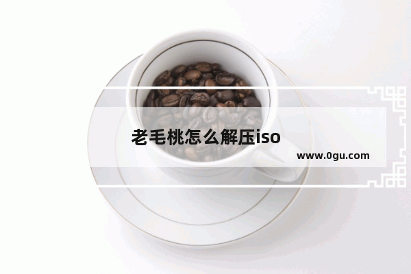 老毛桃怎么解压iso