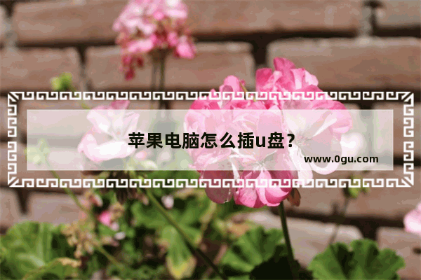 苹果电脑怎么插u盘？