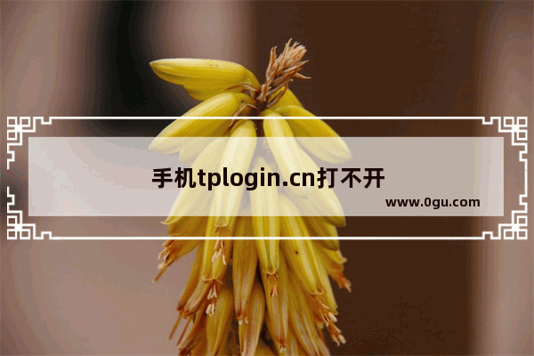 手机tplogin.cn打不开