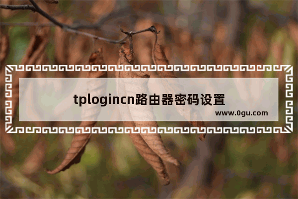 tplogincn路由器密码设置