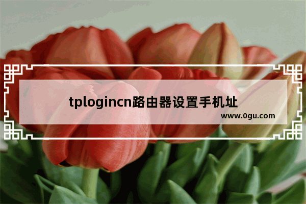 tplogincn路由器设置手机址