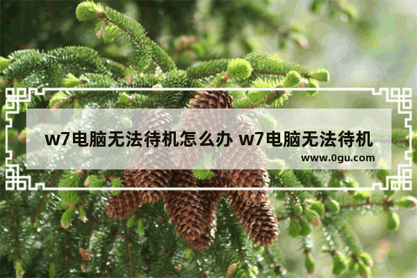 w7电脑无法待机怎么办 w7电脑无法待机怎么办啊