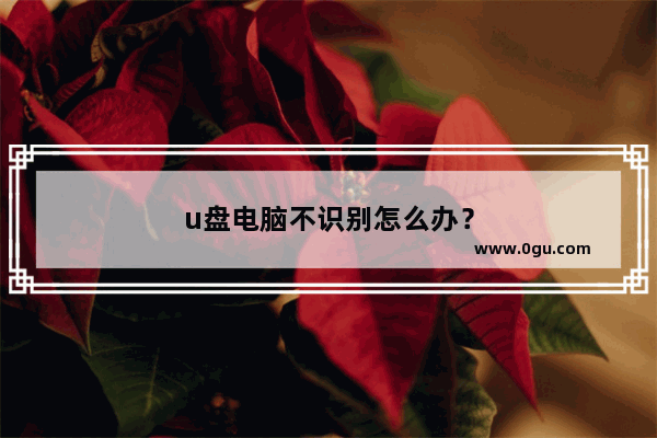 u盘电脑不识别怎么办？