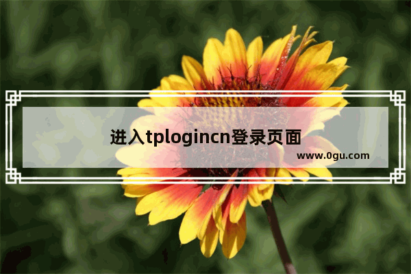 进入tplogincn登录页面