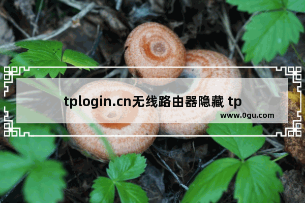 tplogin.cn无线路由器隐藏 tplogincn主页登录