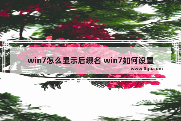 win7怎么显示后缀名 win7如何设置显示后缀名