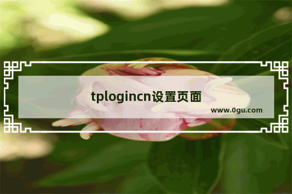 tplogincn设置页面