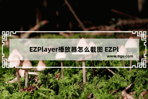 EZPlayer播放器怎么截图 EZPlayer播放器截图的方法