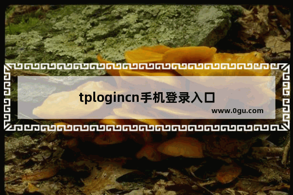 tplogincn手机登录入口