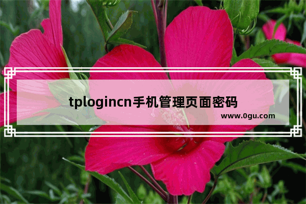 tplogincn手机管理页面密码