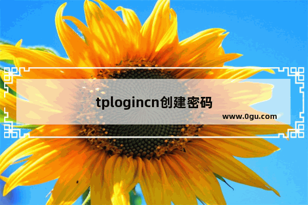 tplogincn创建密码