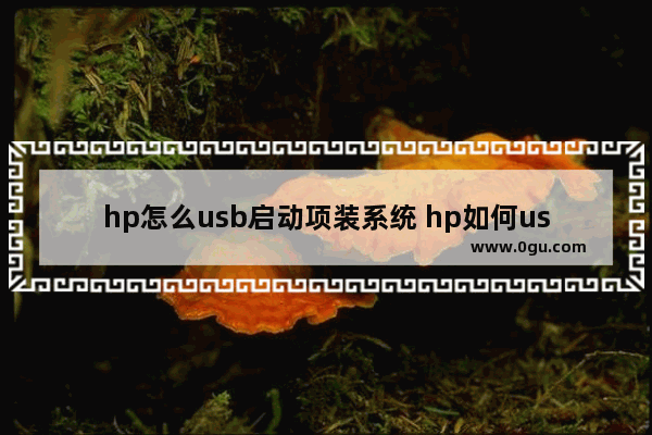 hp怎么usb启动项装系统 hp如何usb启动