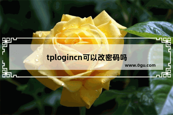 tplogincn可以改密码吗