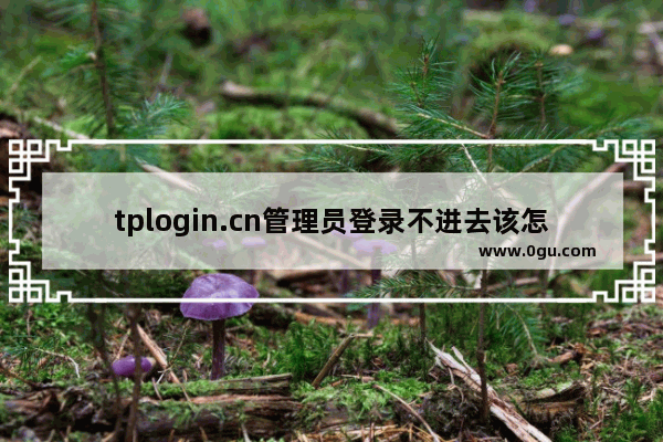 tplogin.cn管理员登录不进去该怎么办呢？